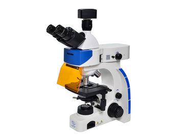 Porcellana Microscopio di fluorescenza dritto del LED Trinocular con la B &amp; il filtro da fluorescenza di G fornitore