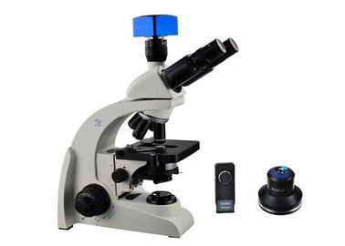 Porcellana Microscopia al suolo scura di ingrandimento del microscopio ottico 600x del campo scuro di Trinocular fornitore