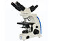 posizione leggera di ingrandimento 2 del microscopio 1000x di osservazione di 3W LED multi fornitore