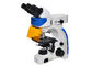 Microscopio di fluorescenza dritto di UOP, microscopia di fluorescenza di alta risoluzione fornitore