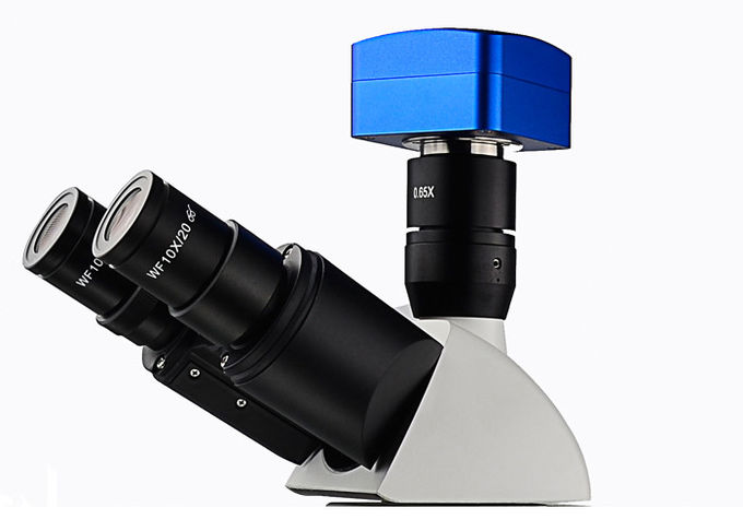 Microscopio metallurgico ottico professionale UM203i con la sorgente luminosa di 12V 50W