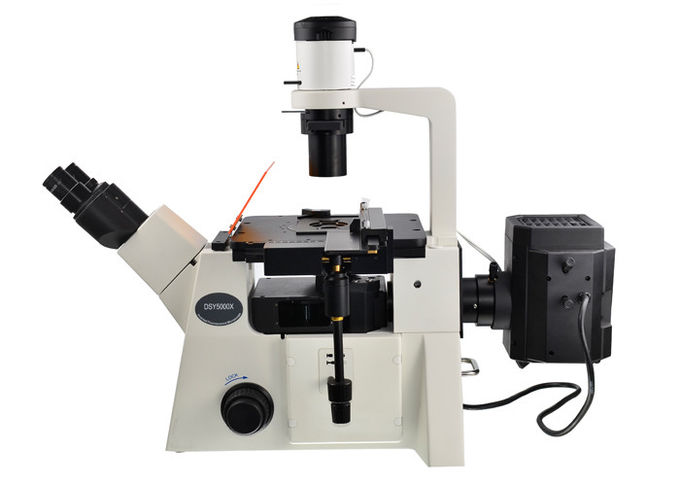 Microscopio dritto ed invertito del filtrante ottico invertito DSY5000X del microscopio B/G/V/UV
