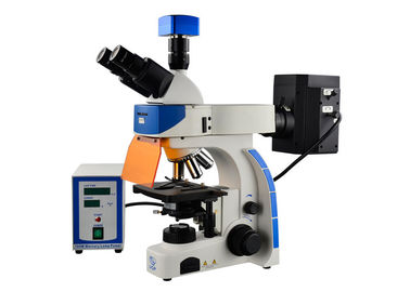 Porcellana Lampada dritta professionale del microscopio di fluorescenza di Trinocular 100W Mercury fornitore