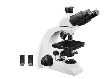 Porcellana microscopia di contrasto di fase di 3W LED, microscopio biologico di Trinocular fornitore