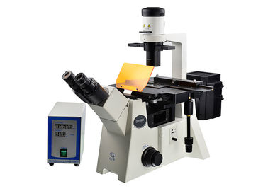 Porcellana Microscopio dritto ed invertito del filtrante ottico invertito DSY5000X del microscopio B/G/V/UV fornitore