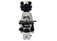 microscopio ottico di 100X 3W LED Digital con 5 milione macchine fotografiche del pixel fornitore