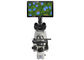 Obiettivo LCD a 9,7 pollici del microscopio 100X di Digital con 5 milione macchine fotografiche del pixel fornitore