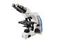 Microscopio ottico composto avanzato binoculare per il laboratorio biologico fornitore
