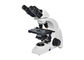 il nero bianco di ingrandimento del microscopio biologico 40-1000X del laboratorio di 6V 20W fornitore