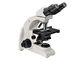 Microscopio biologico binoculare 4X - 100X di multi funzione con gli obiettivi di piano fornitore