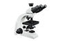 Microscopio biologico del laboratorio di Trinocular/microscopio ottico del laboratorio fornitore