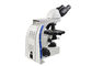 il microscopio ottico binoculare del microscopio biologico del laboratorio 100X con 3W LED si accende fornitore