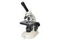 microscopio dell'attrezzatura di laboratorio di 10X 40X per lo studente della scuola secondaria fornitore