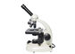 microscopio dell'attrezzatura di laboratorio di 10X 40X per lo studente della scuola secondaria fornitore