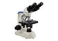microscopio biologico del laboratorio del binocolo 100X per la scuola primaria fornitore