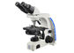 Più alto microscopio di ingrandimento del microscopio binoculare professionale di Uop fornitore