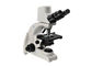 microscopio biologico di Digital della macchina fotografica digitale ottica del microscopio 5MP di 1000X Digital fornitore