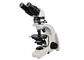 Microscopio metallurgico 4X 10X 40X 60X di Trinocular per addestramento dell'amianto fornitore