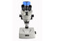 Microscopio ottico stereo professionale con 5 milione macchine fotografiche del pixel fornitore