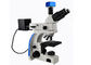 Microscopio di fluorescenza dritto della luce trasmessa UMT203i per i laboratori legali fornitore