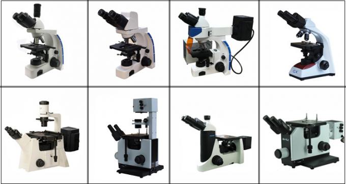 Lampada dritta professionale del microscopio di fluorescenza di Trinocular 100W Mercury