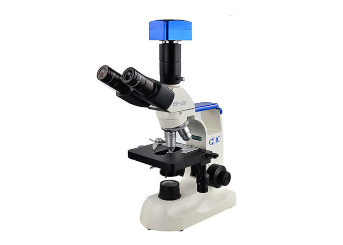 Oculare clinico dei microscopi WF10X18 del laboratorio del livello di entrata C303 per l'ospedale