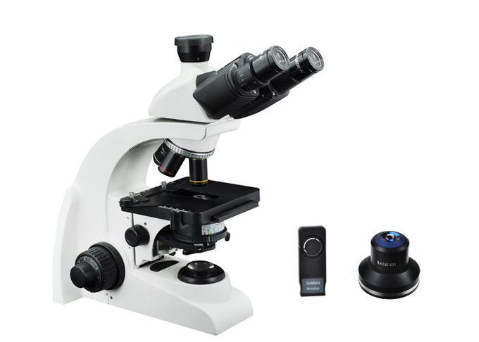 Bianco del microscopio dell'attrezzatura di laboratorio del microscopio 40X del campo scuro di Trinocular