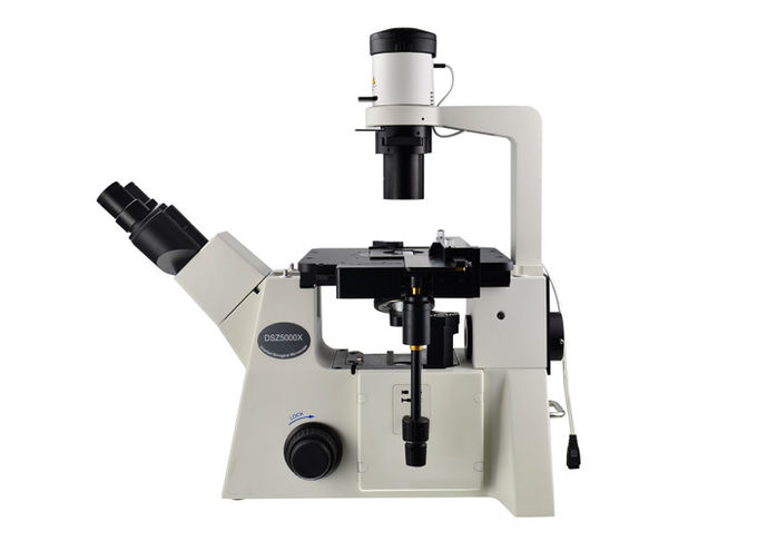 Il laboratorio ha invertito l'ingrandimento ottico del microscopio 400X per biologico