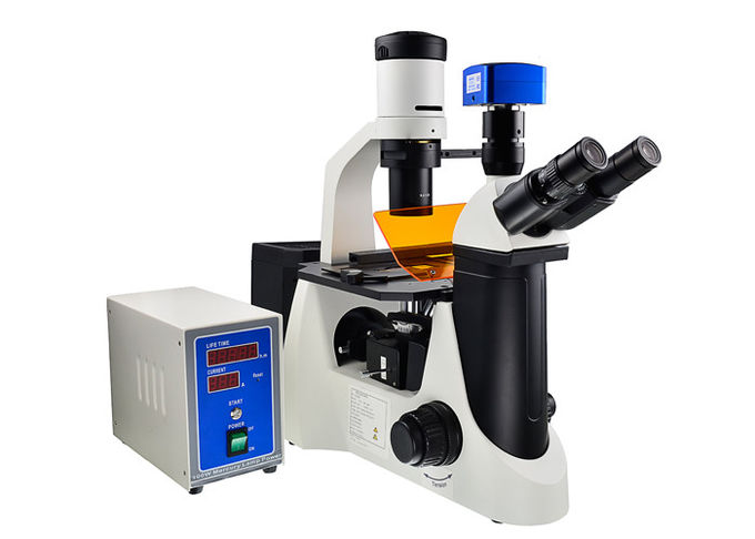 Microscopio di fluorescenza invertito UOP di contrasto di fase con il filtro da B G