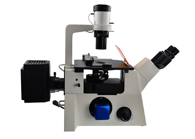 Microscopio dritto ed invertito del filtrante ottico invertito DSY5000X del microscopio B/G/V/UV